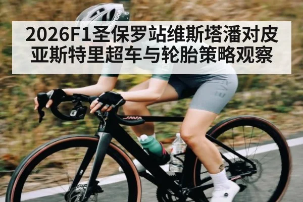 2026F1圣保罗站维斯塔潘对皮亚斯特里超车与轮胎策略观察